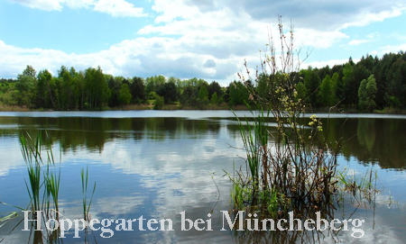Hoppegarten bei Müncheberg